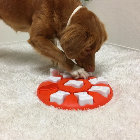 купить Игра-головоломка для собак Умная собака Косточки, 1 (начинающий) уровень сложности, Nina Ottosson Smart