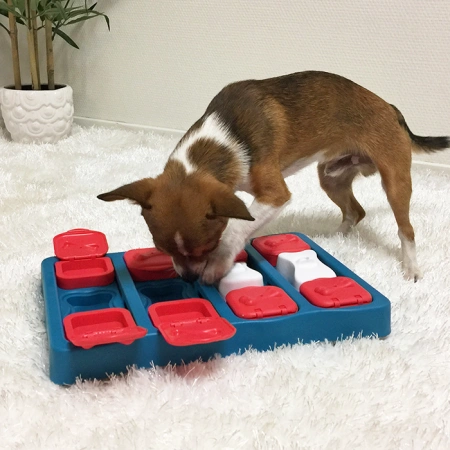 купить Игра-головоломка для собак Кирпичик, 2 (средний) уровень сложности, Nina Ottosson Brick