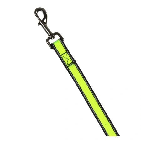 Поводок нейлоновый со светоотражением, 25 мм, Look, Rich Breed