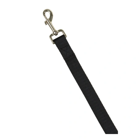 Поводок нейлоновый 25 мм, Boomer, Rich Breed