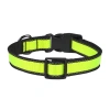 Ошейник нейлоновый светоотражающий, на фастексе, LOOK, Rich Breed