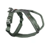 Шлейка прогулочная 5.0 Non-stop