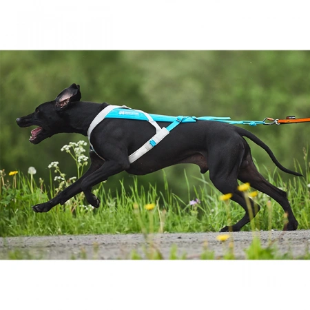 Шлейка ездовая голубая Freemotion 5.0 Non-stop