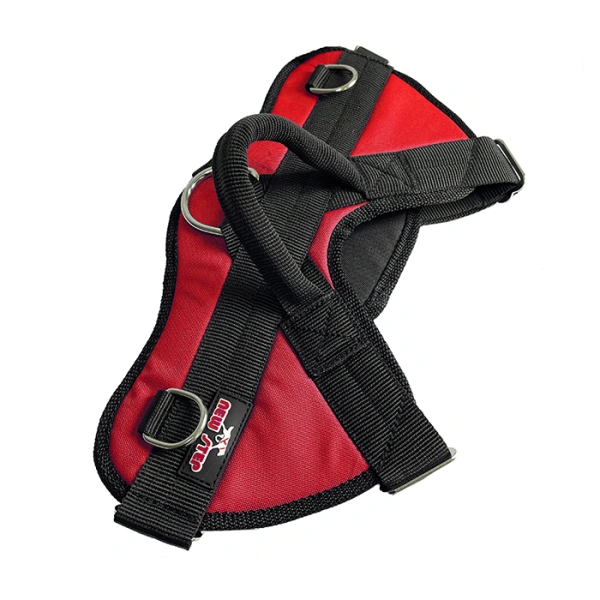 Шлейка для дрессировки New Step