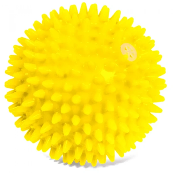 Мяч игольчатый из винила с пищалкой, 7 см Triol
