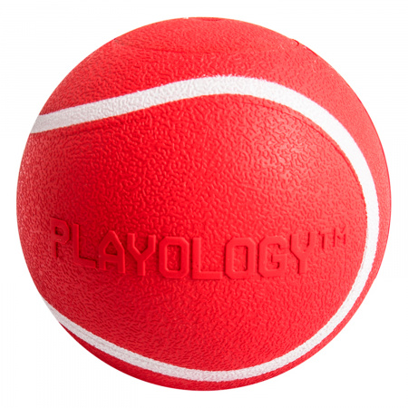 Жевательный мяч с пищалкой и ароматом, SQUEAKY CHEW BALL 6 см, Playology