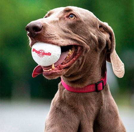 купить Мяч POP PALS 7 см GiGwi