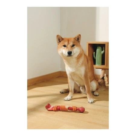 купить Кость Carnivore со вкусом бекона 25,4 см, M-Pets