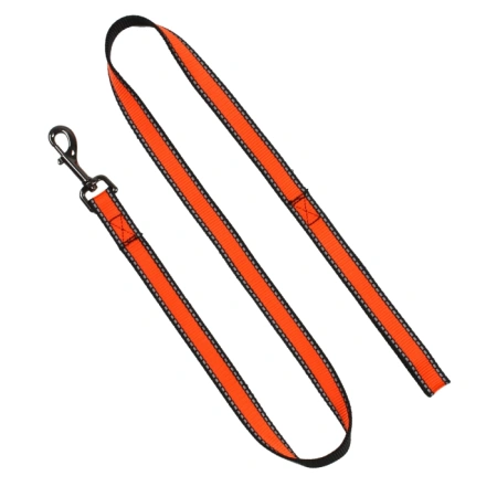 Поводок нейлоновый со светоотражением, 20 мм, Look, Rich Breed