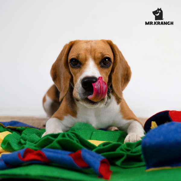 Нюхательный коврик Бейсбольный матч, размер 50x70 см, Mr.Kranch